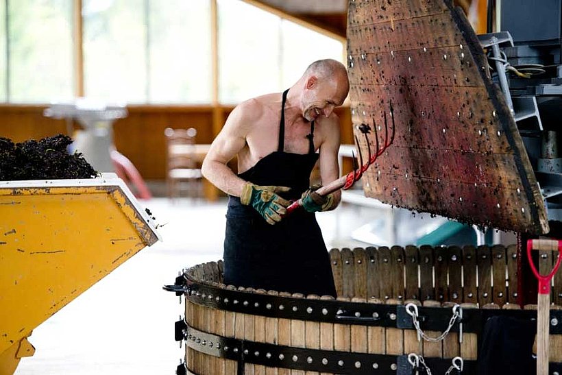 Presskuchen-Verarbeitung im Weinbaubetrieb Fleury